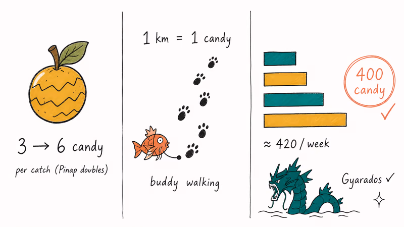 Pinap Berry and buddy walking math toward four hundred Magikarp candy