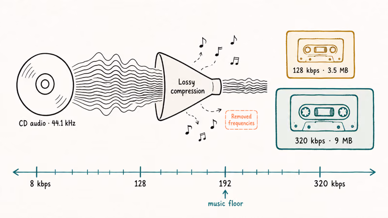 Lossy audio format diagram compares bitrate and file size.