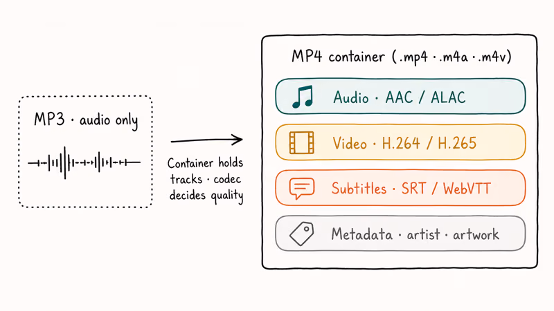 Media container layers show audio video subtitles metadata and codecs.