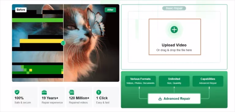 Easeus Online Video Repair