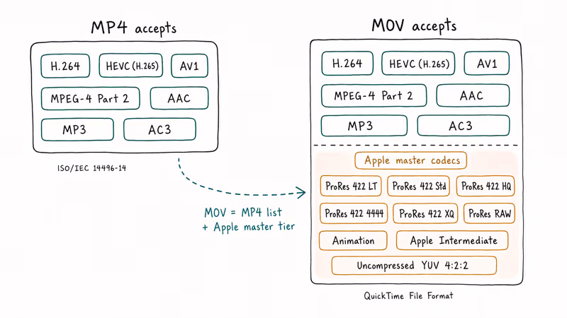 Side by side codec lists showing supported codecs in MP4 versus MOV including ProRes