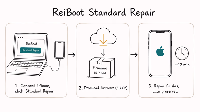Tenorshare ReiBoot three step Standard Repair flow with timing