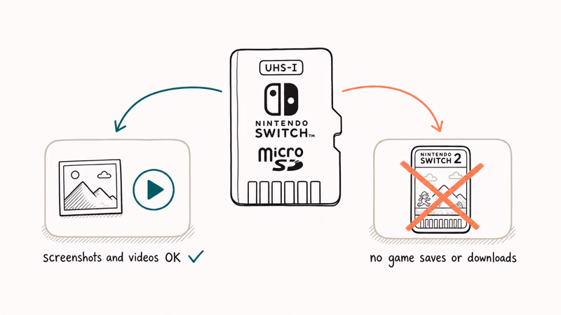 Original Switch microSD card branching to allowed media use and blocked Switch 2 game downloads