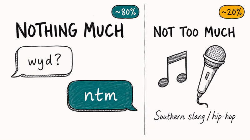 Two-panel hand-drawn infographic comparing Nothing Much and Not Too Much meanings of NTM in texting