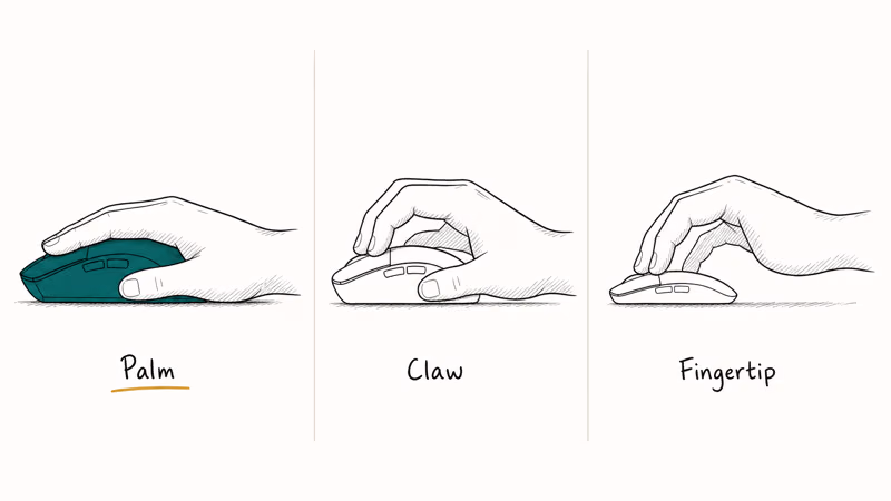 Hand-drawn comparison showing palm, claw, and fingertip mouse grips with palm grip highlighted in teal.