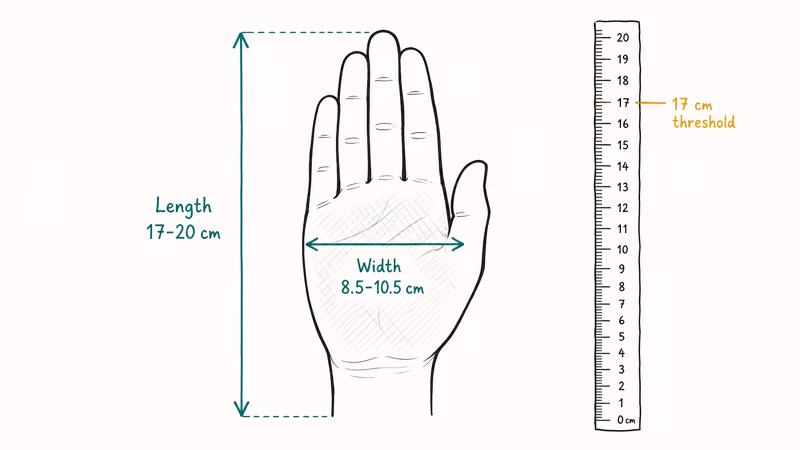 Top-down hand sketch showing length and palm width measurement.