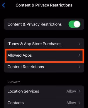Content and Privacy Restrictions