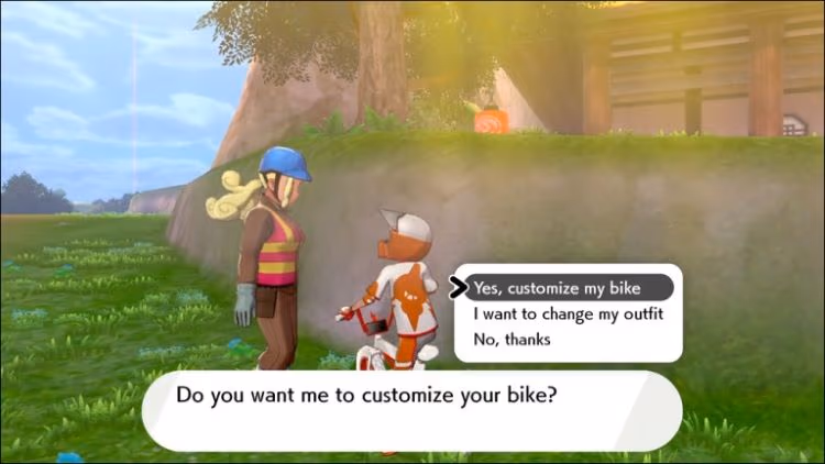 choose "Yes, customize my bike."