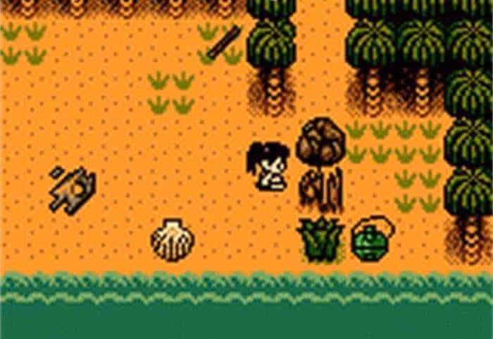 Rarest Gameboy Advance Games - Survival Kids