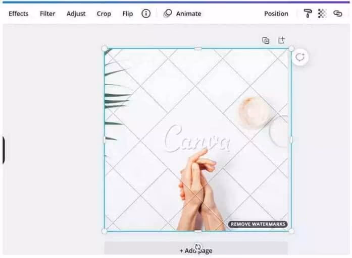 Canva with Watermarks