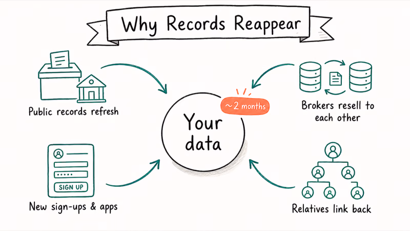 Hand-drawn circular illustration of four reasons personal data reappears in broker databases after removal.