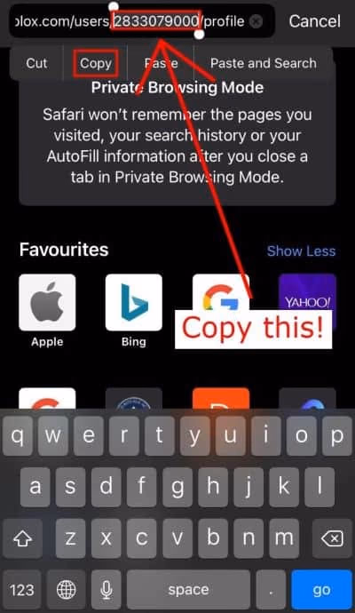 Copy the Robolx user ID