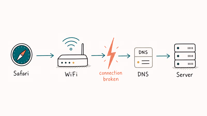 Hand-drawn horizontal chain of Safari WiFi router DNS and web server with a coral break showing where the