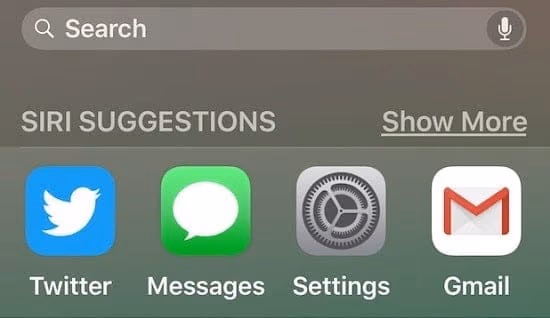 Look for the Safari Application on Your iOS Device