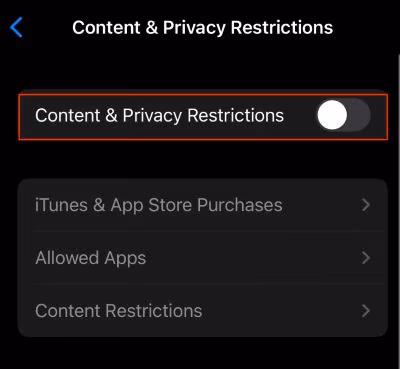 Disable Content and Privacy Restrictions