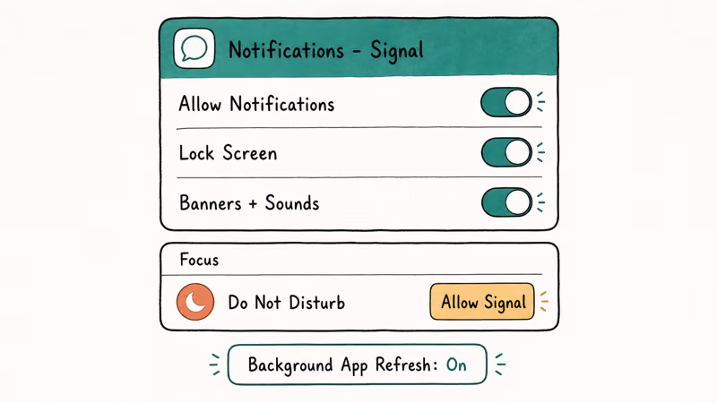 iPhone notification permissions and Focus settings needed for reliable Signal alerts