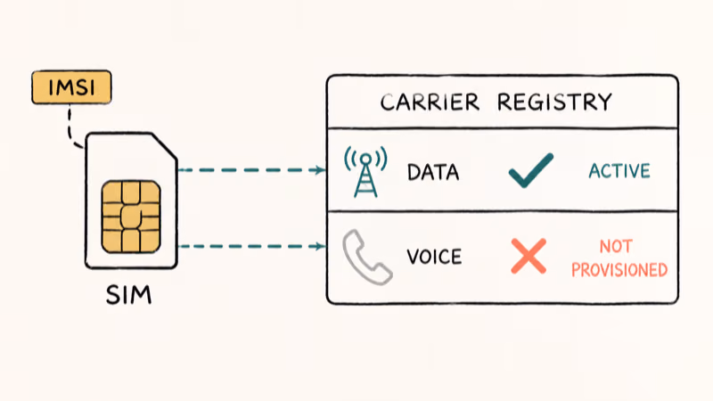 Hand-drawn infographic showing carrier voice flag inactive while data flag active for one SIM card.