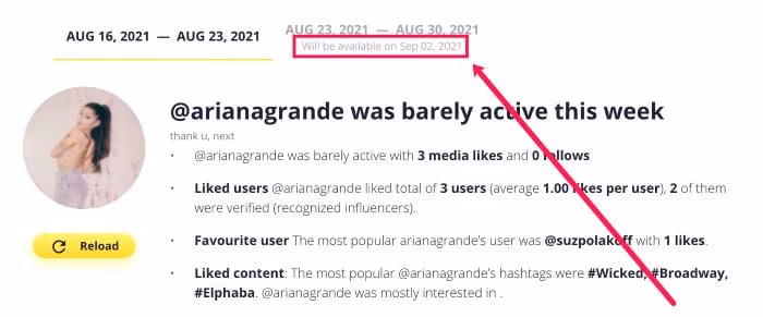 How to Use Snoopreport