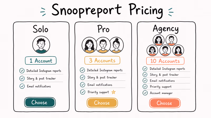 Three-tier pricing card row showing Snoopreport Solo Pro and Agency plans with account counts and tags.