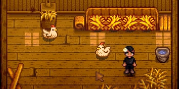 Animals found in chicken coop Stardew 