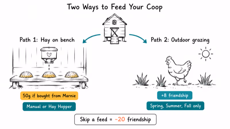 Hand-drawn flowchart showing two Stardew Valley coop feeding paths hay bench versus outdoor grazing.