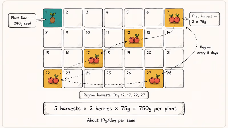 Hand-drawn 28-day fall calendar mapping cranberry planting day and every five-day regrow harvest