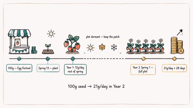 Hand-drawn timeline showing Stardew Valley strawberry profit from Egg Festival to Year 2 Spring