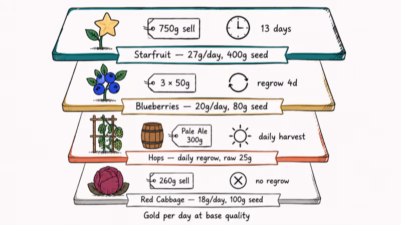 Hand-drawn ladder comparing Starfruit Blueberries Hops and Red Cabbage gold per day in summer