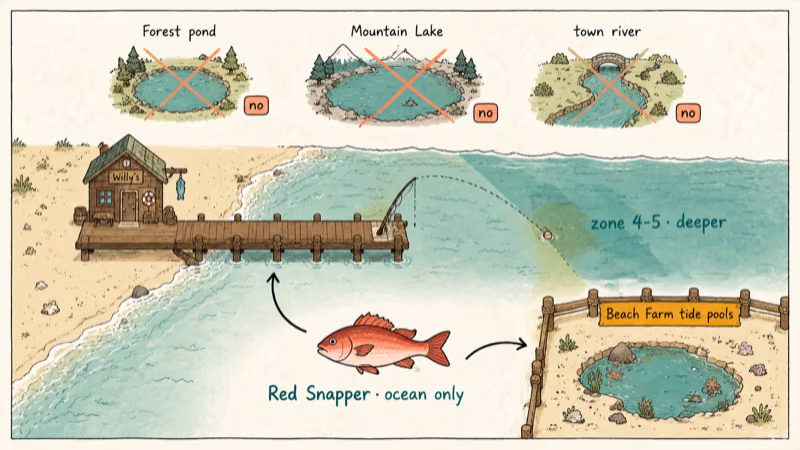 Hand-drawn Stardew map showing beach pier and Beach Farm tide pools for Red Snapper.