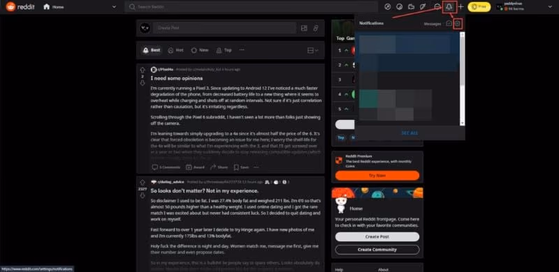 Reddit User Settings