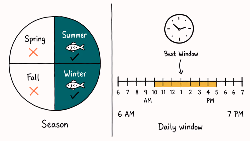 Stardew Valley calendar highlighting Summer and Winter seasons with daytime fishing window