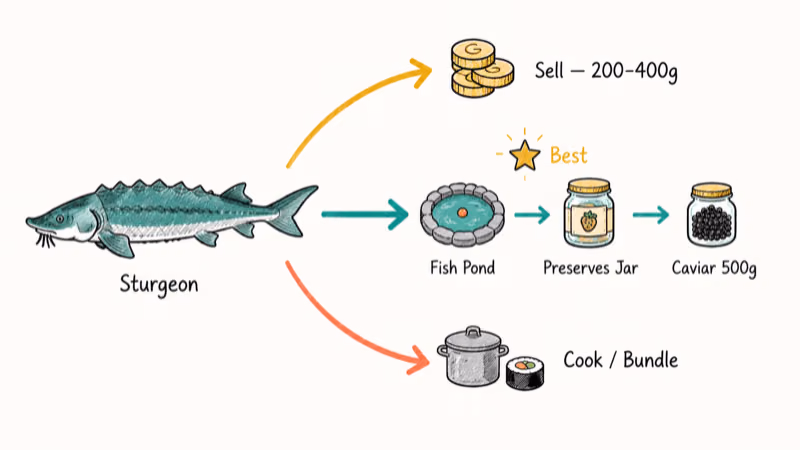 Three Stardew Valley sturgeon options sell fish pond farming and cooking comparison