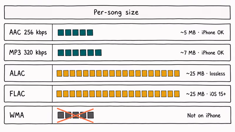 Hand-drawn comparison of AAC MP3 ALAC FLAC and WMA per-song size and iPhone playback support