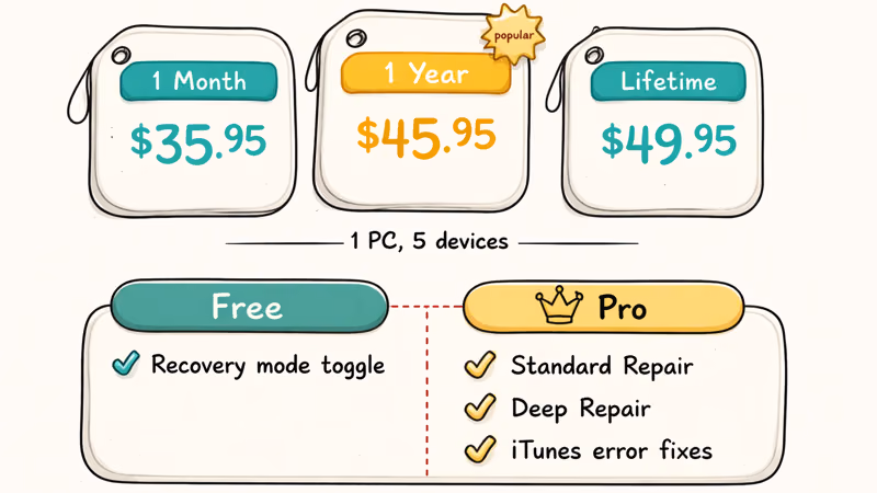 Hand-drawn ReiBoot pricing tiers with free versus Pro feature comparison columns