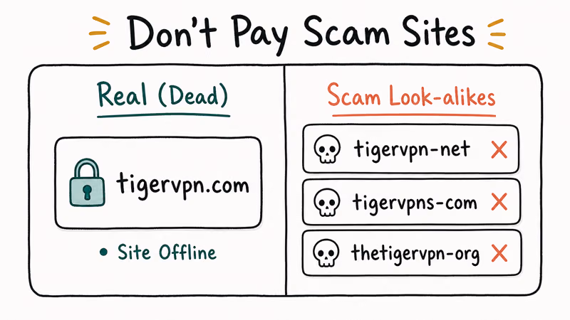 Comparison card showing the real defunct TigerVPN site and three scam look-alike domains to avoid paying.