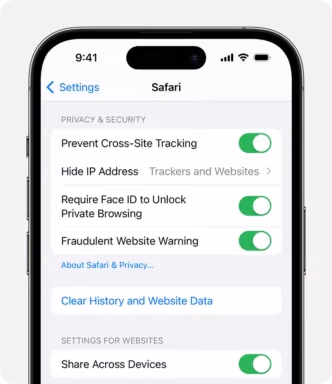 Clear History And Website Data