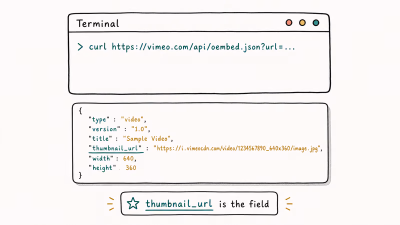 Hand-drawn terminal with a curl command and a JSON response card highlighting the thumbnail_url field