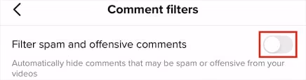 Enable "Filter Spam & Offensive Comments"