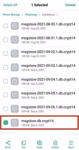 Fix Any Local Backup Issues
