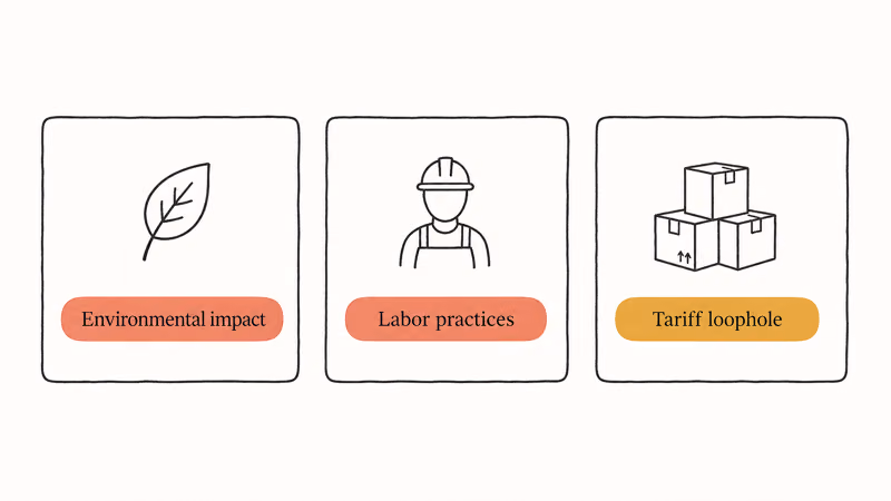 Hand-drawn three-card chart of common concerns about SHEIN including environmental labor and tariff loophole topics.