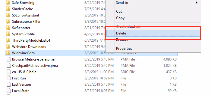 Remove the Plugin Folder and upgrade It Again